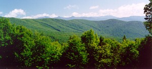 South Facing View Hubbard Brook Research Forest