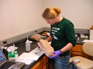REU Student Cayce Salvino Pulverizing Leaves